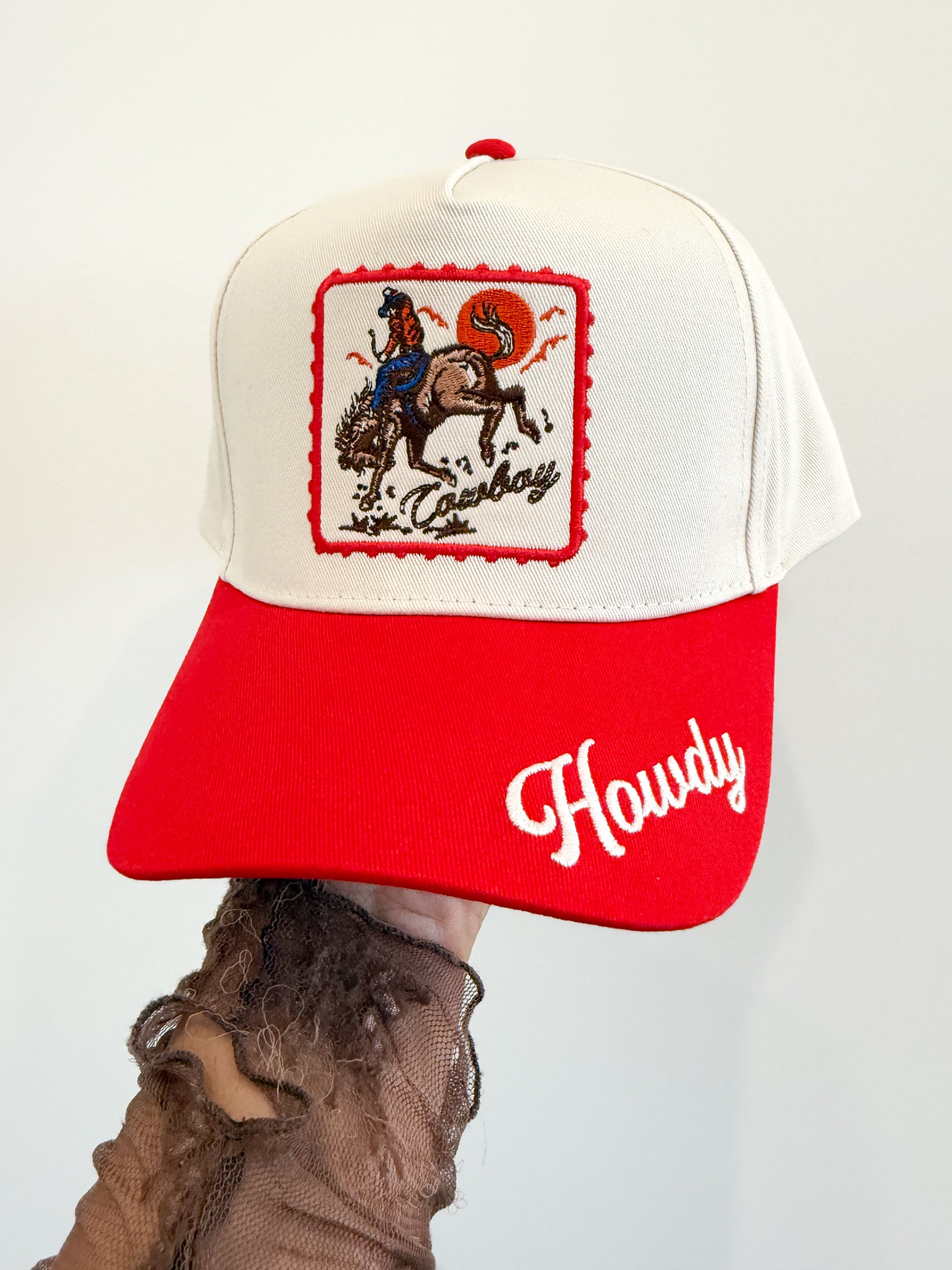 Howdy Cowboy